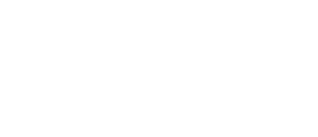 trusted choice logo